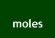 mole1.gif (1156 bytes)