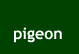 pigeon1.gif (1220 bytes)